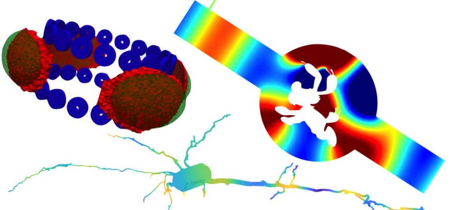 IDEFIX : Inversion of Differential Equations For Imaging and physiX